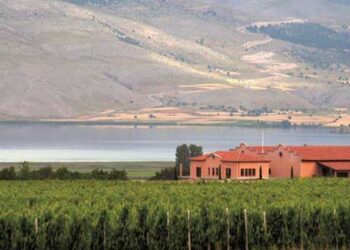 Καλύτερος Ροζέ Οίνος από το Κτήμα Άλφα Αμυνταίου στον Διεθνή Διαγωνισμό Οίνου Θεσσαλονίκης