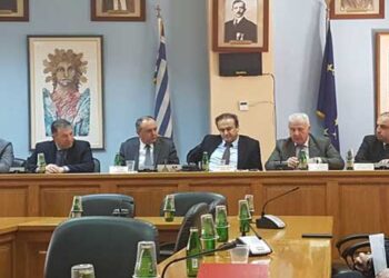 Θ. Καράογλου από το Αμύνταιο: «Στοίχημα η επόμενη μέρα για την περιοχή με ορόσημο το 2023»