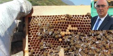 Βρέθηκε λύση στη μετακίνηση των μελισσοκόμων του Νομού για να πηγαίνουν στα μελίσσια τους – Μετά από επαφές του βουλευτή ΝΔ Μ. Παπαδόπουλου