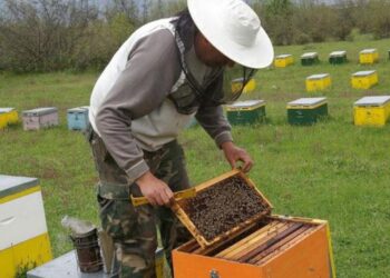 Αρχαιρεσίες Μελισσοκομίκου Συλλόγου Κοζάνης
