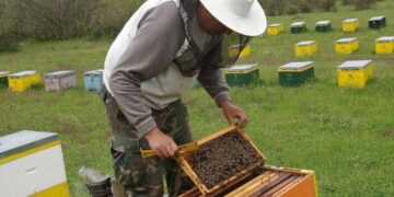 Αρχαιρεσίες Μελισσοκομίκου Συλλόγου Κοζάνης