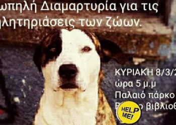 Πτολεμαΐδα: Σιωπηλή διαμαρτυρία για τις δηλητηριάσεις ζώων αύριο Κυριακή