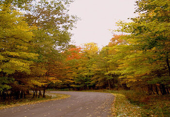 Δημοσιεύτηκε στην Εφημερίδα της Κυβερνήσεως η απόφαση μερικής κύρωσης του               Δασικού Χάρτη του προ-Καποδιστριακού ΟΤΑ Κοζάνης του Δήμου Κοζάνης