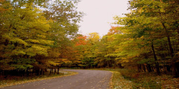 Δημοσιεύτηκε στην Εφημερίδα της Κυβερνήσεως η απόφαση μερικής κύρωσης του               Δασικού Χάρτη του προ-Καποδιστριακού ΟΤΑ Κοζάνης του Δήμου Κοζάνης
