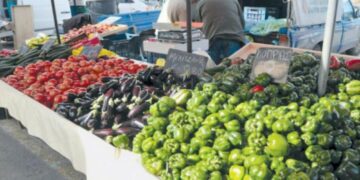 Πως θα γίνει η Λαϊκή Αγορά Κοζάνης στην Οδό Αριστοτέλους στις 11 και 17 Απριλίου – Ποιοι θα είναι οι εκθέτες (προσωρινοί πίνακες) και ποια τα απαραίτητα μέτρα