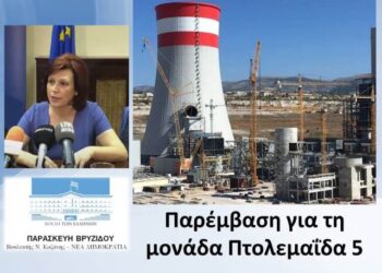 Παρέμβαση της Π. Βρυζίδου για τη μονάδα Πτολεμαΐδα 5