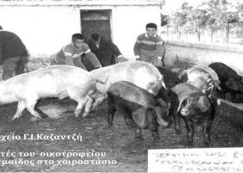 Το χοιροστάσιο του Εθνικού ορφανοτροφείου Πτολεμαϊδος – Από τη στήλη του κ. Γ. Καζαντζή στον Παλμό 11/03/2020