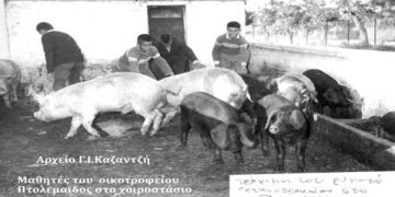 Το χοιροστάσιο του Εθνικού ορφανοτροφείου Πτολεμαϊδος – Από τη στήλη του κ. Γ. Καζαντζή στον Παλμό 11/03/2020