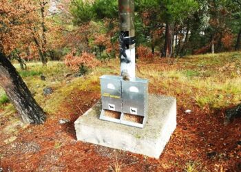 Μία ξεχωριστή πρωτοβουλία από το Δήμο Καστοριάς για τα αδέσποτα Επεκτείνει την κοινωνική του ευαισθησία και συνεισφορά σε κάθε τομέα