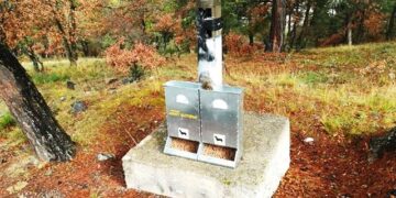 Μία ξεχωριστή πρωτοβουλία από το Δήμο Καστοριάς για τα αδέσποτα Επεκτείνει την κοινωνική του ευαισθησία και συνεισφορά σε κάθε τομέα