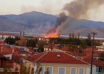 Σύλλογος Προστασίας Βεγορίτιδας-Κάψε και καταπάτησε ελεύθερα.! Μπορείς!