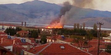 Σύλλογος Προστασίας Βεγορίτιδας-Κάψε και καταπάτησε ελεύθερα.! Μπορείς!