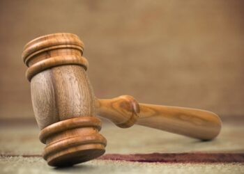 Κοζάνη: H πρώτη δικαστική απόφαση για επικοινωνία παππούδων – εγγονής μέσω Skype εν μέσω πανδημίας