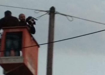 Διάσωση γάτας χθες σε χωριό του δήμου Εορδαίας – Είχε ανέβει σε στύλο της ΔΕΗ