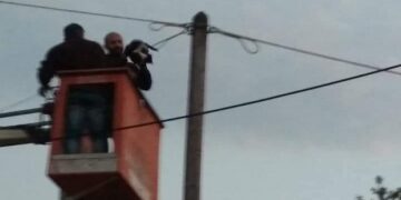 Διάσωση γάτας χθες σε χωριό του δήμου Εορδαίας – Είχε ανέβει σε στύλο της ΔΕΗ