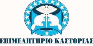 Τον ψηφιακό μετασχηματισμό των επιχειρήσεων ζητάει το Επιμελητήριο Καστοριάς – Πρόταση προς την Περιφέρεια