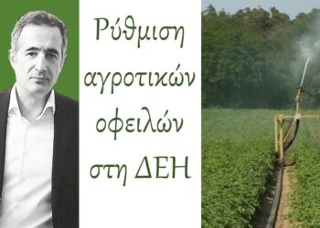 Στάθης Κωνσταντινίδης, Βουλευτής Ν. Κοζάνης: «Ρύθμιση για τον διακανονισμό αγροτικών οφειλών προς τη ΔΕΗ»