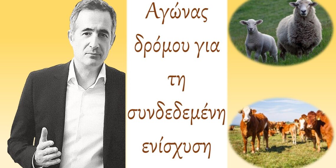 Στάθης Κωνσταντινίδης, Βουλευτής Ν. Κοζάνης: «Μέσα στον Απρίλιο η συνδεδεμένη ενίσχυση για αιγοπρόβατα και βοοειδή»-Δελτίο Τύπου