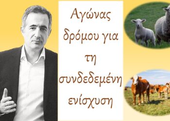 Στάθης Κωνσταντινίδης, Βουλευτής Ν. Κοζάνης: «Μέσα στον Απρίλιο η συνδεδεμένη ενίσχυση για αιγοπρόβατα και βοοειδή»-Δελτίο Τύπου
