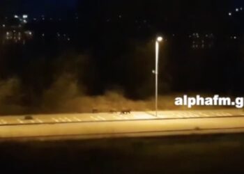 Καστοριά: Τρεις αρκούδες έφτασαν στο πιο πολυσύχναστο πεζοδρόμιο! Η αυστηρή καραντίνα έφερε αυτές τις εικόνες (Βίντεο)