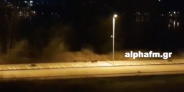 Καστοριά: Τρεις αρκούδες έφτασαν στο πιο πολυσύχναστο πεζοδρόμιο! Η αυστηρή καραντίνα έφερε αυτές τις εικόνες (Βίντεο)