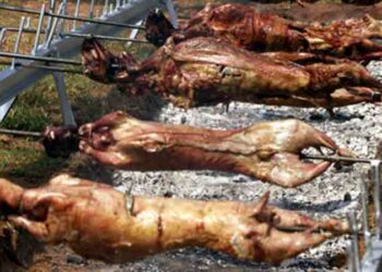 Πάσχα 2020: Ερχεται απαγόρευση στο σούβλισμα – Ποιοι επιτρέπεται να σουβλίσουν αρνί