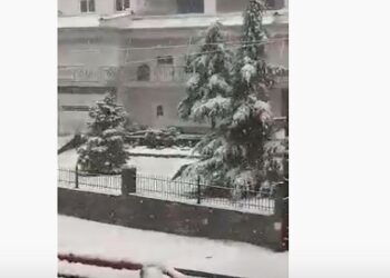 Το έστρωσε στην Ασβεστόπετρα Εορδαίας! (VIDEO)