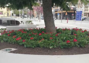 Δήμος Κοζάνης: Καλλωπισμός της πόλης και των Κοινοτήτων  – Φυτεύτηκαν λουλούδια σε κοινόχρηστους χώρους