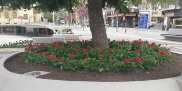 Δήμος Κοζάνης: Καλλωπισμός της πόλης και των Κοινοτήτων  – Φυτεύτηκαν λουλούδια σε κοινόχρηστους χώρους