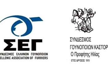 Σύνδεσμοι Γουνοποιών Καστοριάς και Ελλήνων Γουνοποιών: «Καθ’ όλη τη διάρκεια της παραμονής μας στο Μιλάνο ήμασταν ιδιαίτερα προσεκτικοί στις επαφές μας περιορίζοντας τις μετακινήσεις μας στον χώρο της Έκθεσης και τα ξενοδοχεία μας»