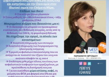 Π. Βρυζίδου: Συμπληρωματικές προτάσεις για νέους ΚΑΔ και εισηγήσεις για την Οικονομία στον Ιδιωτικό τομέα την Επόμενη Μέρα