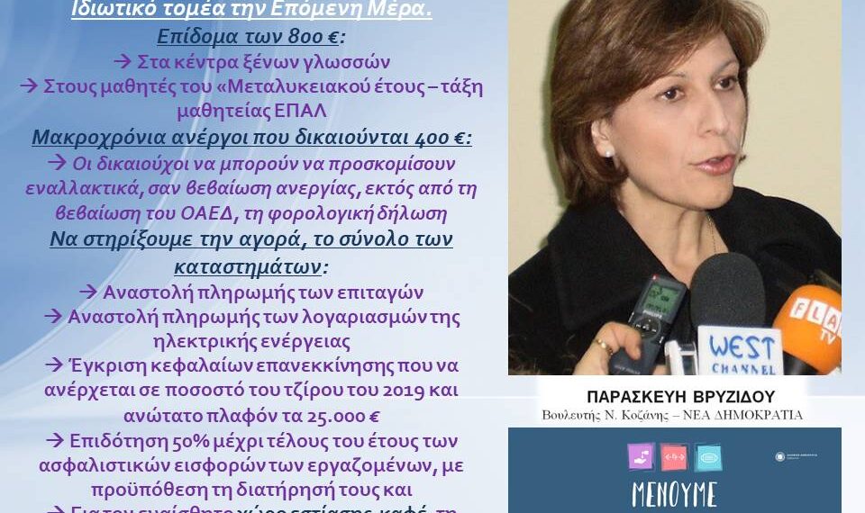 Π. Βρυζίδου: Συμπληρωματικές προτάσεις για νέους ΚΑΔ και εισηγήσεις για την Οικονομία στον Ιδιωτικό τομέα την Επόμενη Μέρα
