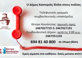 Δήμος Καστοριάς: Γραμμές Υποστήριξης