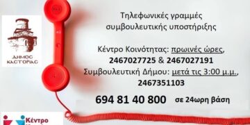 Δήμος Καστοριάς: Γραμμές Υποστήριξης