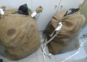 Εντοπίστηκαν σε περιοχή της Φλώρινας 26 κιλά και 714 γραμμάρια ακατέργαστης κάνναβης