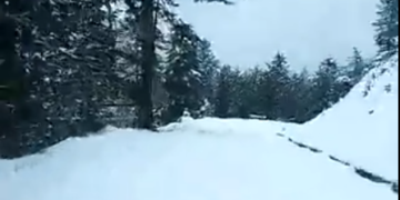 Υπέροχα χιονισμένα τοπία από τα ορεινά χωριά των Γρεβενών (βίντεο)