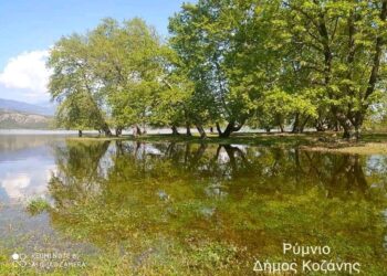 Άνοιξη και η φύση οργιάζει: Πανέμορφο τοπίο στο Πλατανόδασος στο Ρύμνιο Κοζάνης