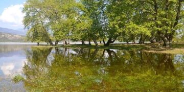 Άνοιξη και η φύση οργιάζει: Πανέμορφο τοπίο στο Πλατανόδασος στο Ρύμνιο Κοζάνης