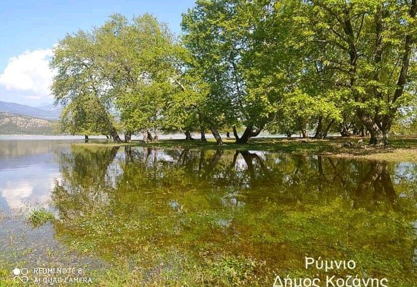 Άνοιξη και η φύση οργιάζει: Πανέμορφο τοπίο στο Πλατανόδασος στο Ρύμνιο Κοζάνης