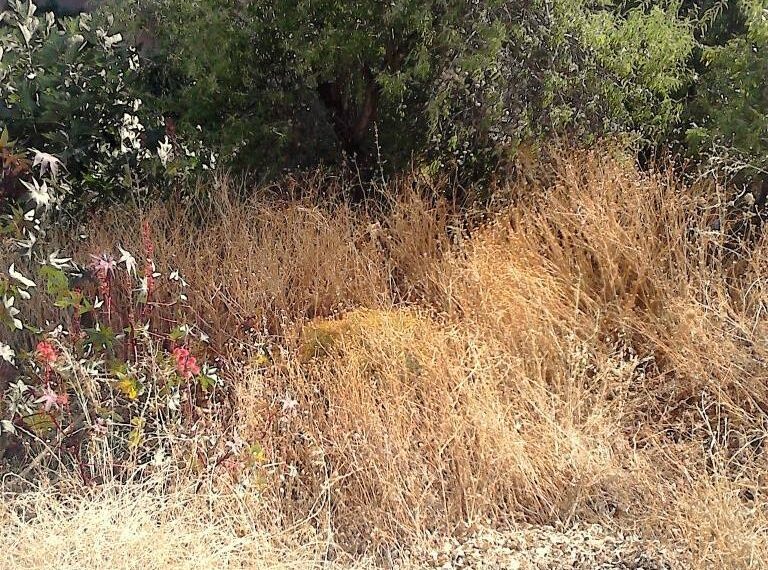 Δήμος Κοζάνης: Με μέριμνα των ιδιοκτητών ο καθαρισμός των οικοπέδων