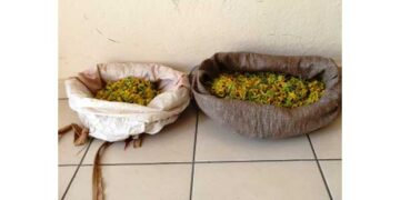 Καστοριά: Δύο νέες συλλήψεις αλλοδαπών για παράνομη συλλογή 3 κιλών αρωματικού – θεραπευτικού φυτού από τον Γράμμο