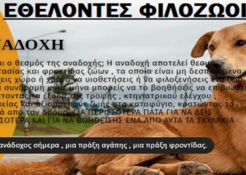 Εθελοντές Φιλόζωοι Πτολεμαΐδας: “Ποια είναι η ομάδα μας και ποιος είναι ο σκοπός της”