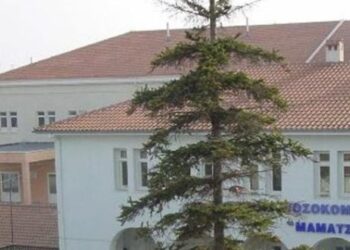 Ευχαριστήριου του Μαμάτσειου  Κοζάνης για προσφορές στο Νοσοκομείο