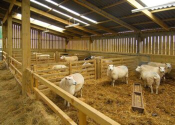 Παράταση της προθεσμίας υποβολής αιτήσεων για έκδοση αδειών εγκατάστασης και αδειών διατήρησης σε κτηνοτροφικές εγκαταστάσεις