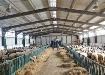 Ερώτηση Ζήση Τζηκαλάγια και άλλων Βουλευτών της Ν.Δ για την δικαίωση και αναμενόμενη επιστροφή των εξισωτικών αποζημιώσεων του 2014 στους κτηνοτρόφους-Δελτίο Τύπου