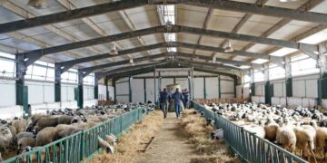 Ερώτηση Ζήση Τζηκαλάγια και άλλων Βουλευτών της Ν.Δ για την δικαίωση και αναμενόμενη επιστροφή των εξισωτικών αποζημιώσεων του 2014 στους κτηνοτρόφους-Δελτίο Τύπου