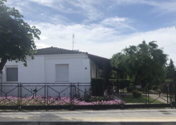 H αυλή της κυρίας Στέλλας -Γράφει η Πίστη Κρυσταλλίδου