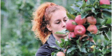 Μήλα και κεράσια κράτησαν τους νέους στα ορεινά χωριά των Πύργων και του Μεσόβουνου