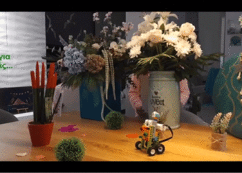 2η και 3η θέση στον διαδικτυακό διαγωνισμό ρομποτικής της wro για το 1ο Δημοτικό Σχολείο Μουρικίου