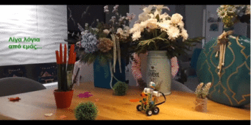 2η και 3η θέση στον διαδικτυακό διαγωνισμό ρομποτικής της wro για το 1ο Δημοτικό Σχολείο Μουρικίου